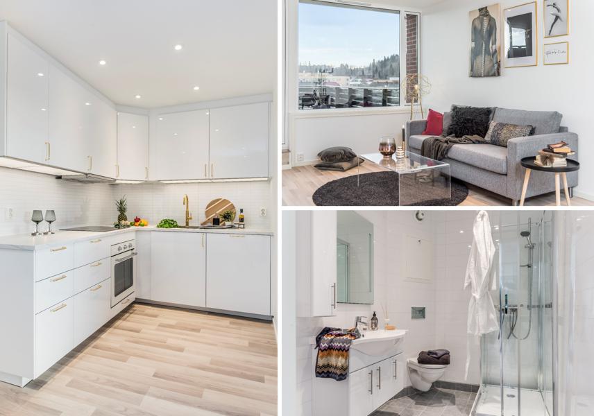 Velkommen til Carl Schjetnans veg 6B