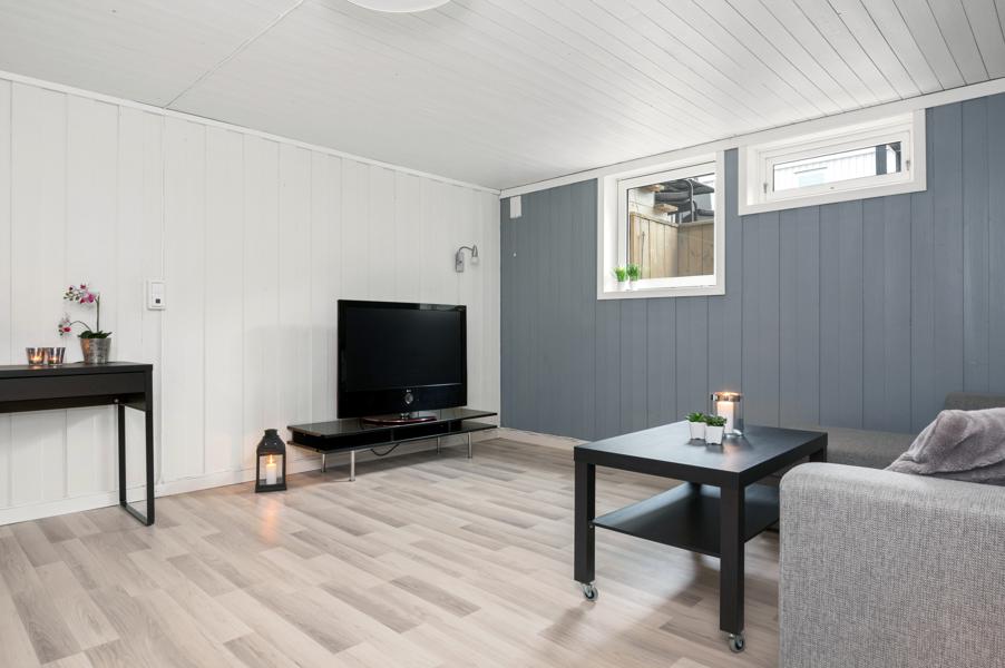 Basement living room