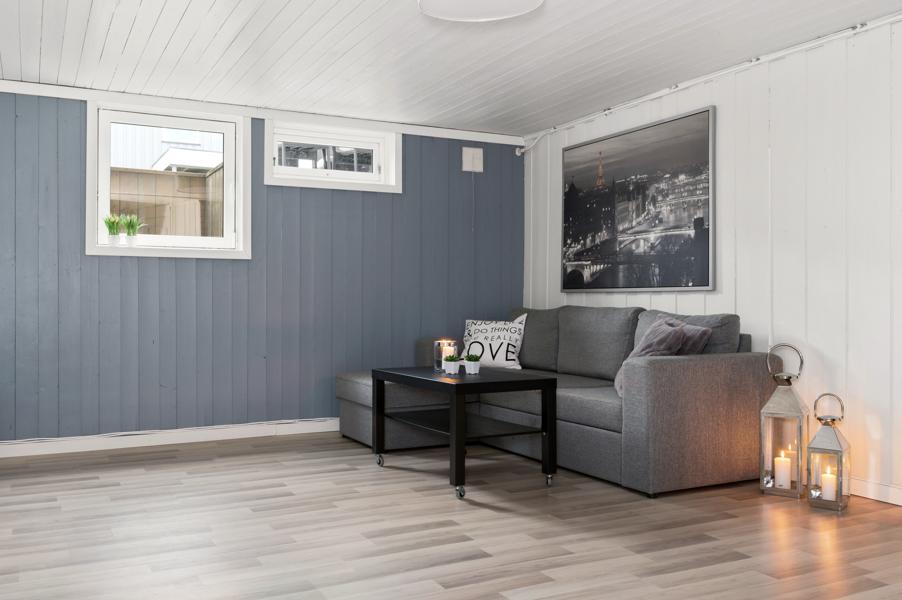 Basement living room