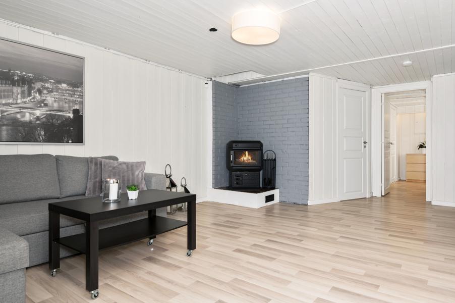 Basement living room