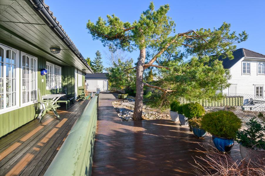 Terrasse