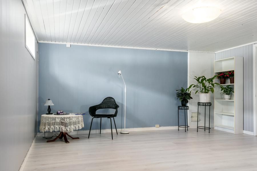 Basement living room