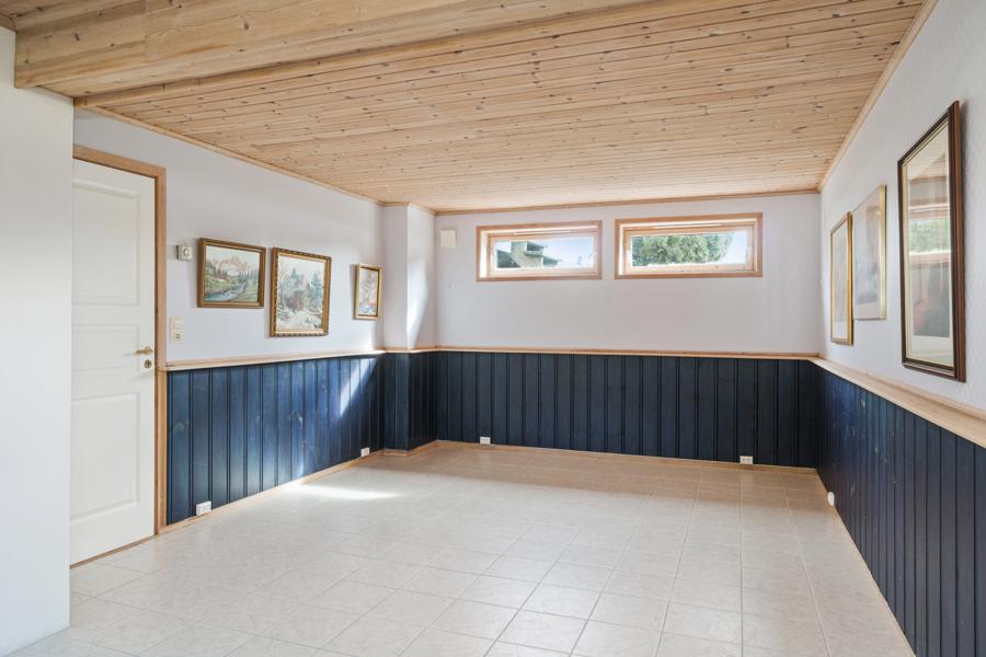 Basement living room