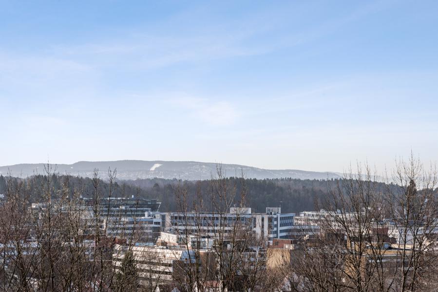 Utsikt