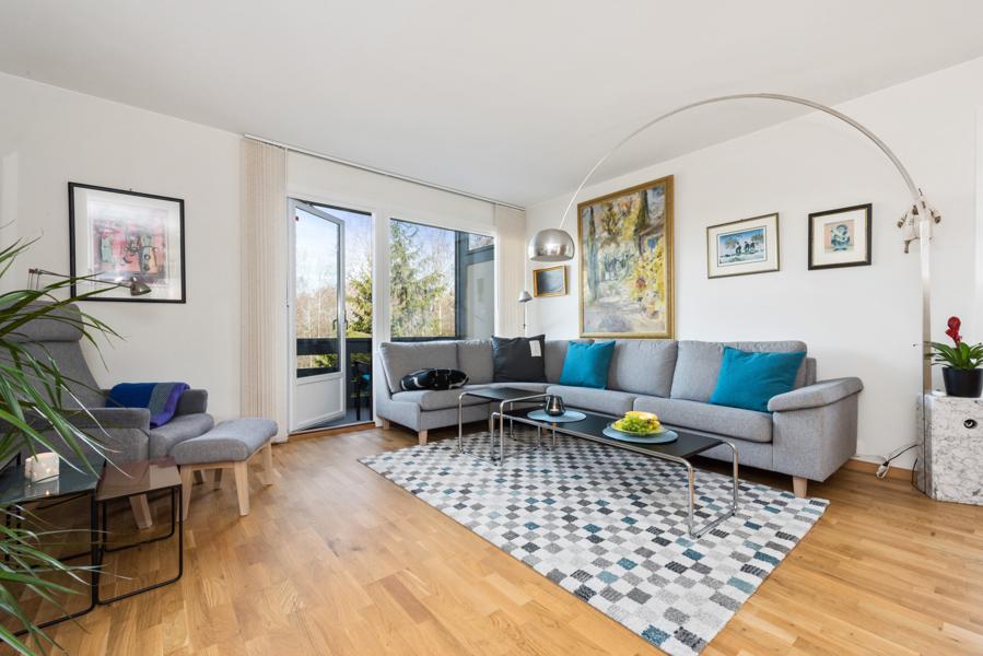 Basement living room