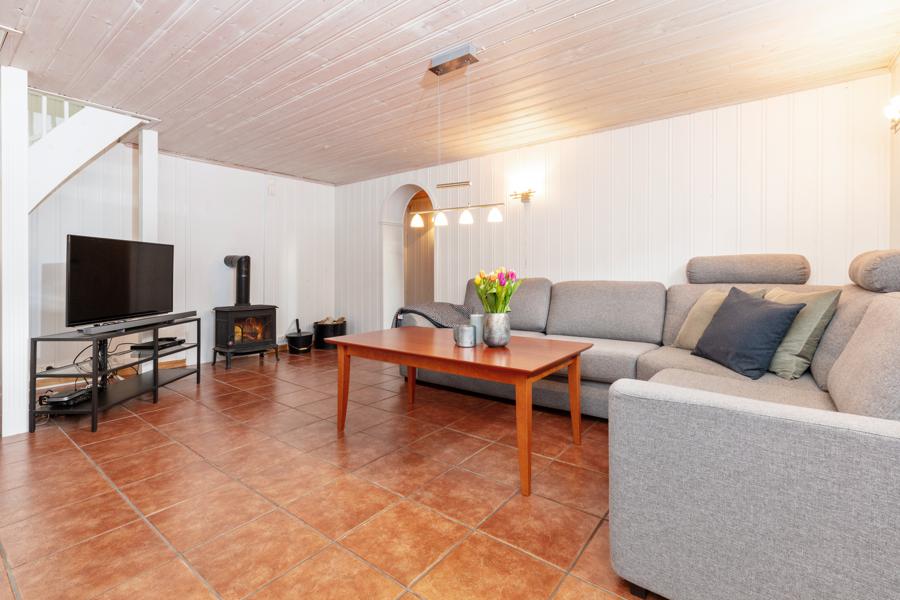 Basement living room