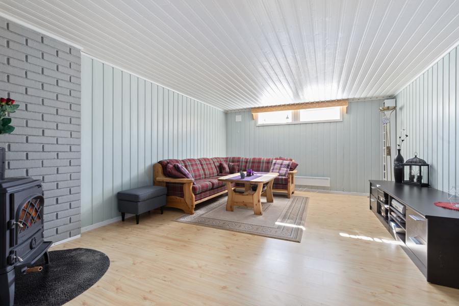 Basement living room