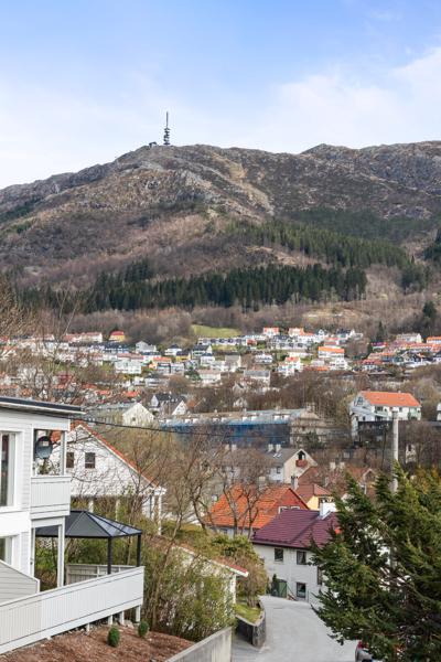 Utsikt