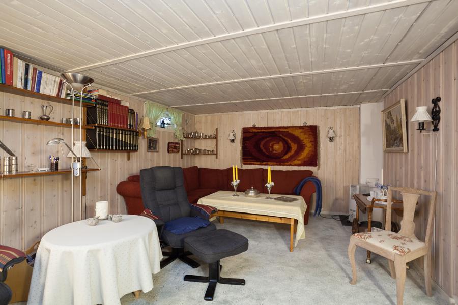 Basement living room