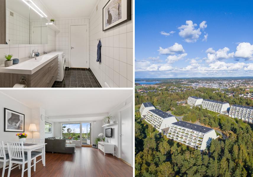 Velkommen til Skogholtet 12