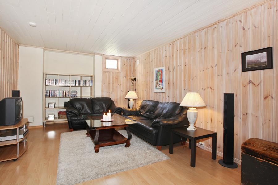 Basement living room