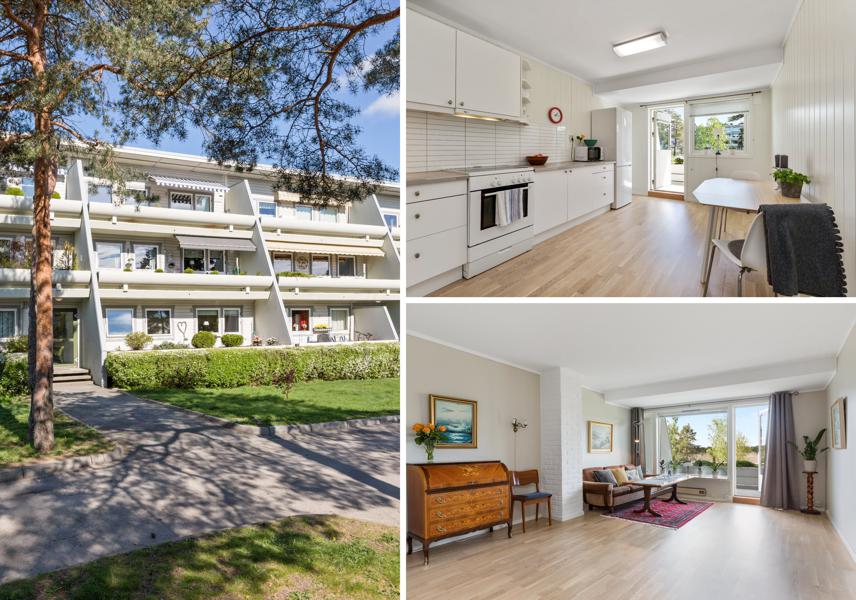 Velkommen til Skogholtet 8