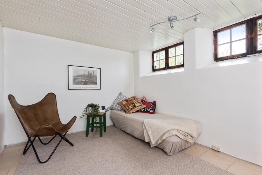 Basement living room
