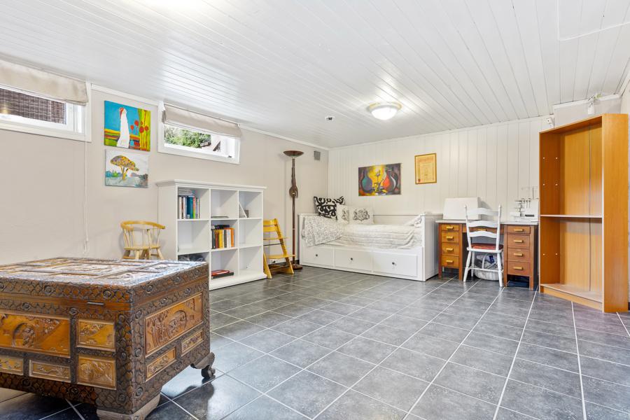 Basement living room