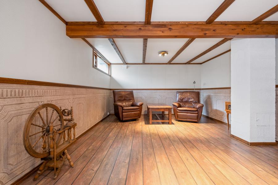 Basement living room