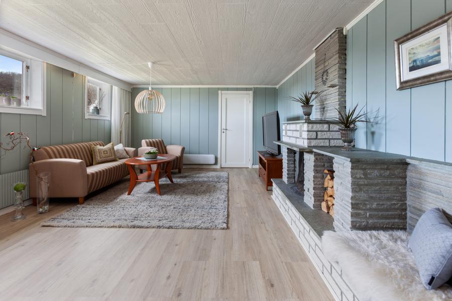 Basement living room