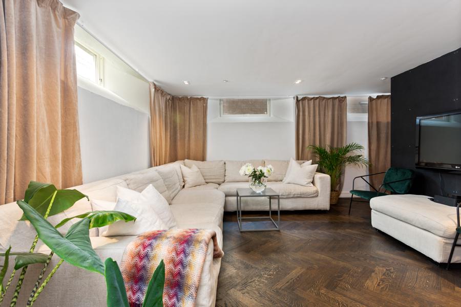 Basement living room