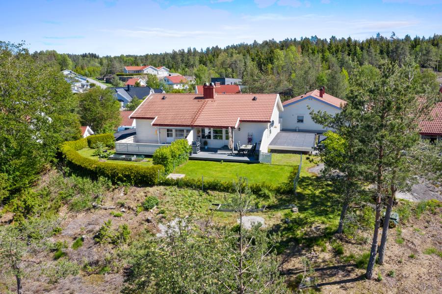 Velkommen til Tiurveien 3 3