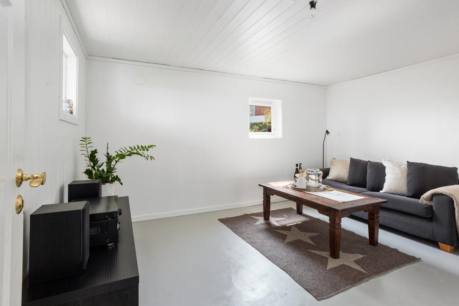 Basement living room