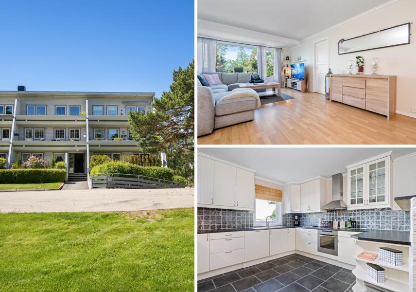 Velkommen til Skogholtet 12