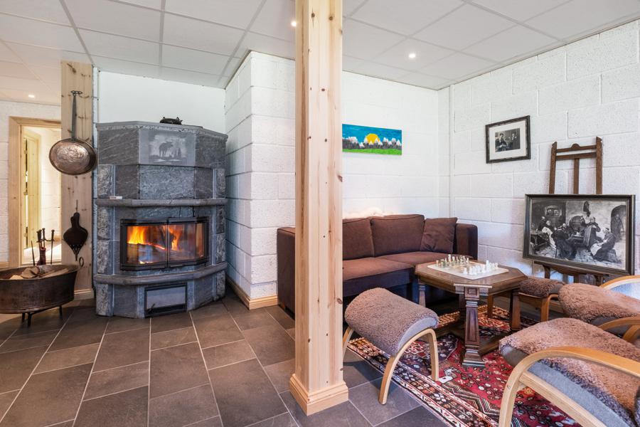 Basement living room