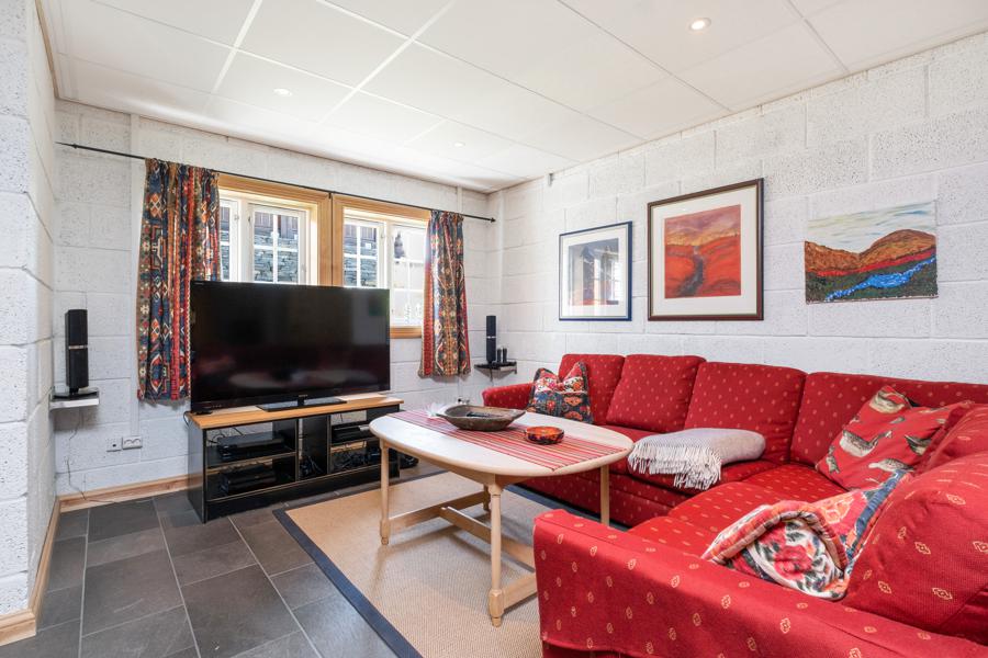Basement living room
