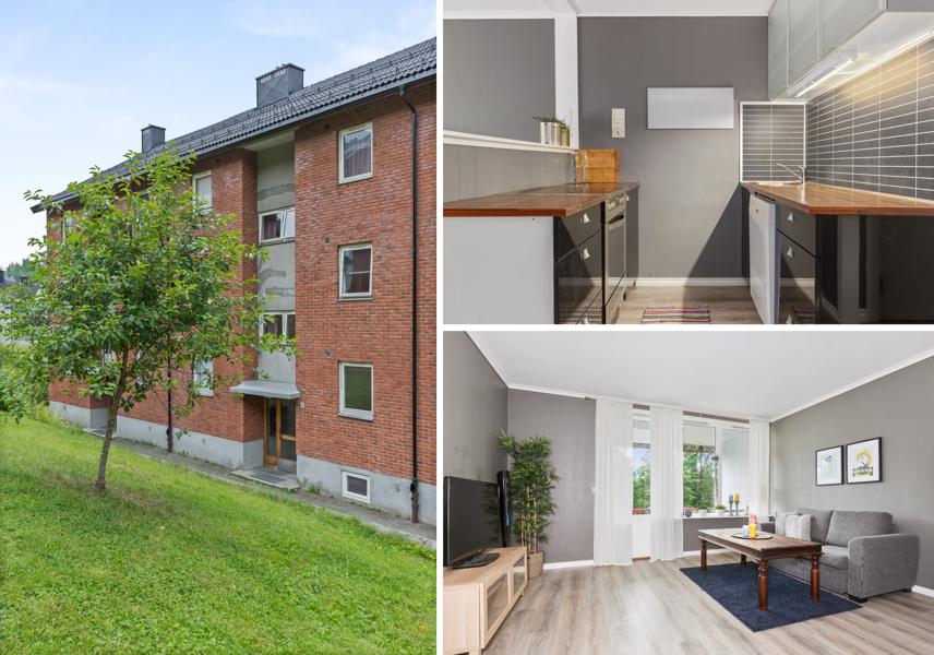 Welcome to Skrivervegen 20B