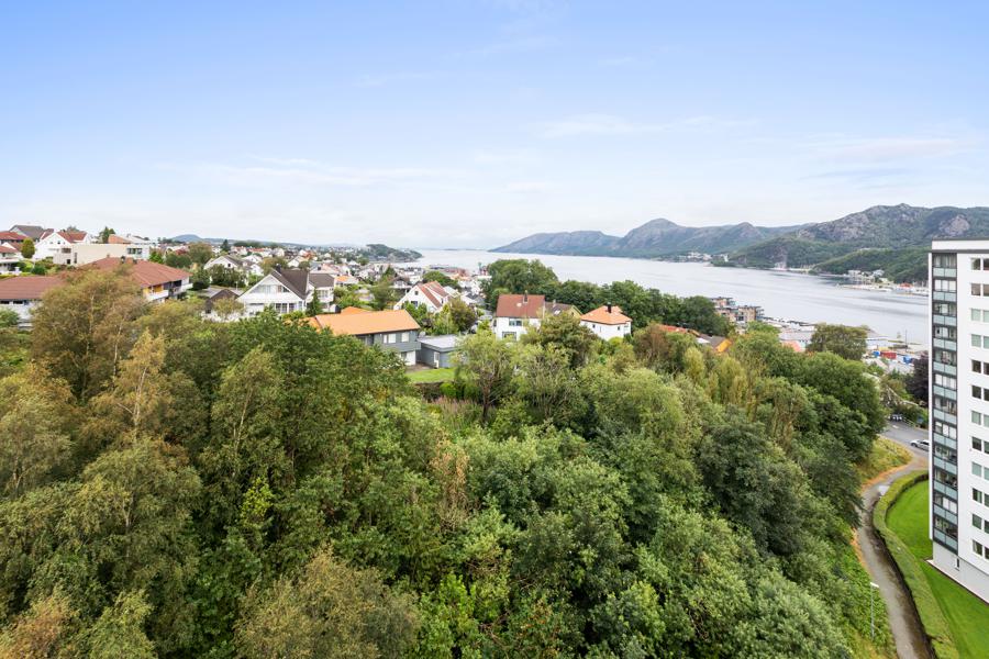 Utsikt