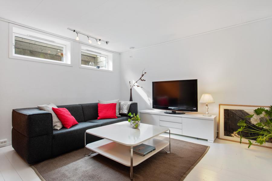 Basement living room