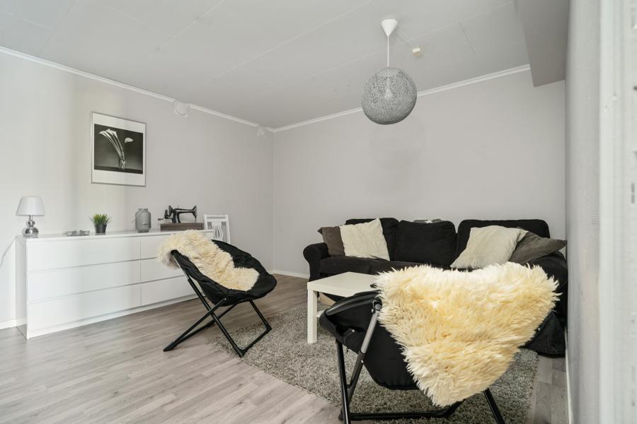 Basement living room