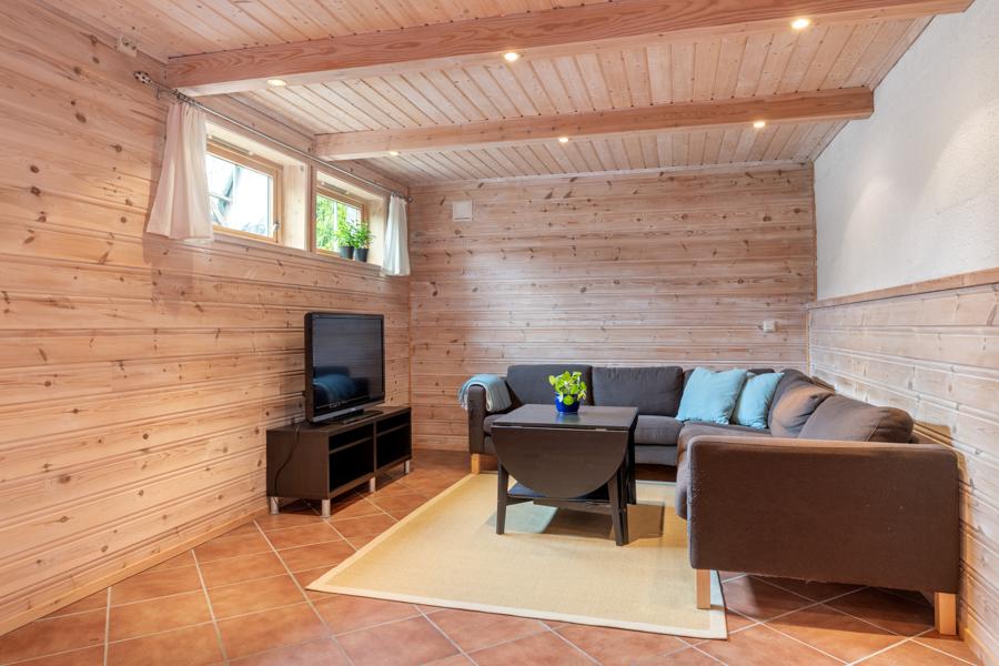 Basement living room
