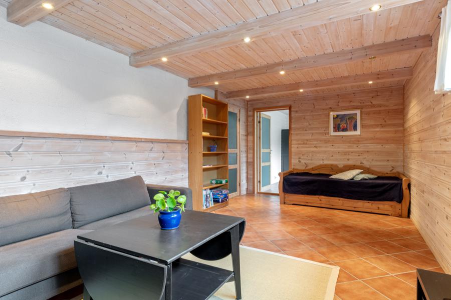 Basement living room