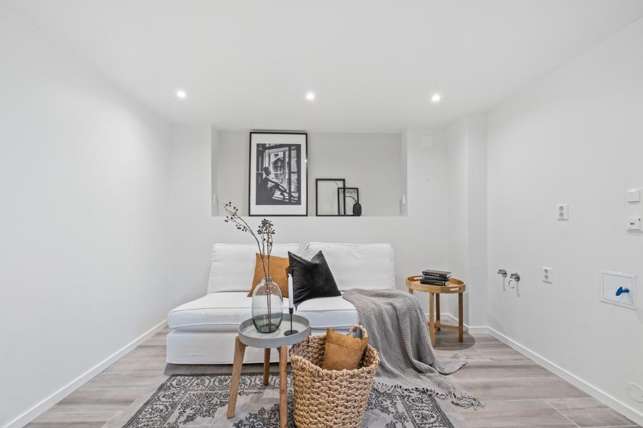 Basement living room