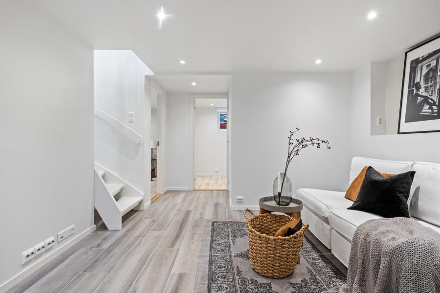 Basement living room