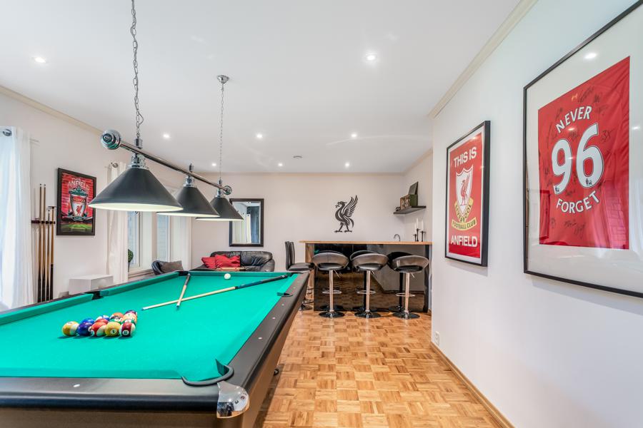 Basement living room