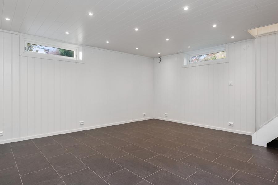 Basement living room