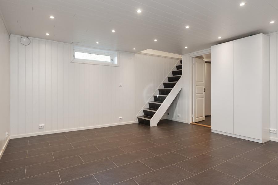 Basement living room