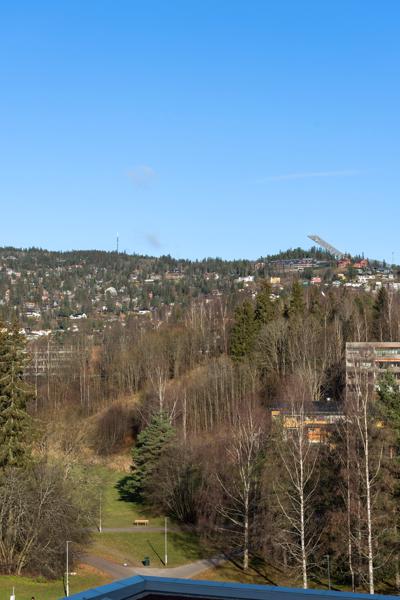 Velkommen til Røahagan 1C