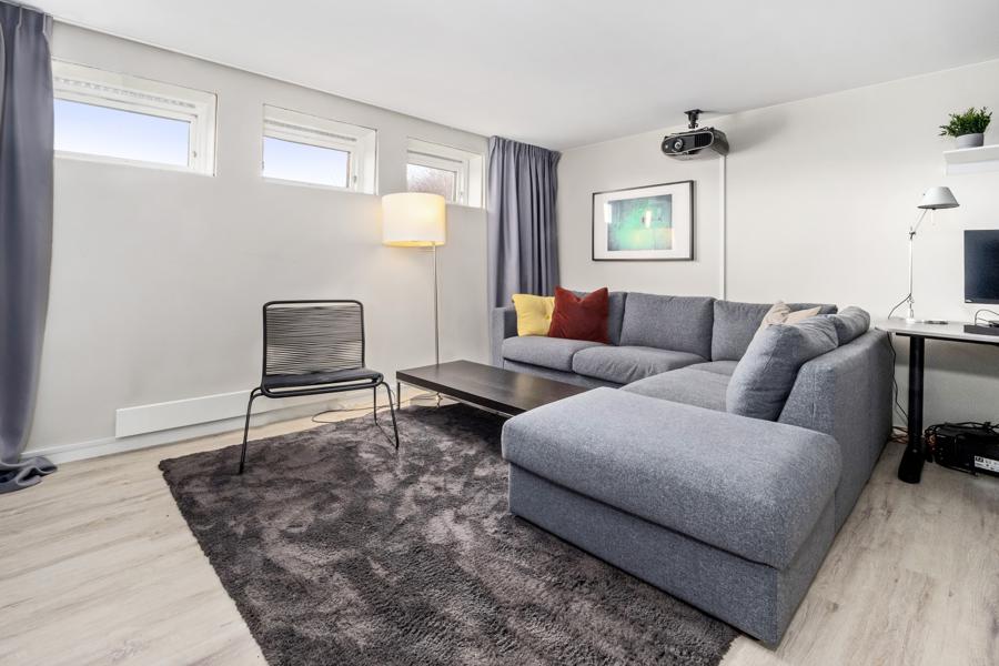Basement living room