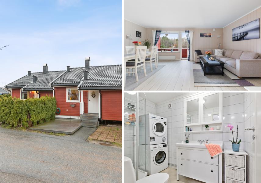 Velkommen til Brusemyrtoppen 31B