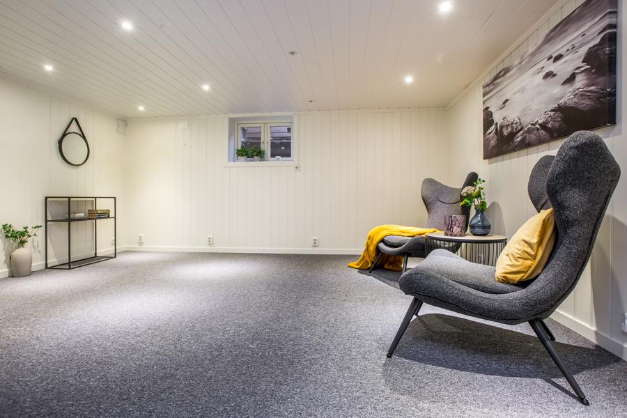 Basement living room