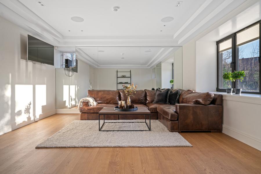Basement living room