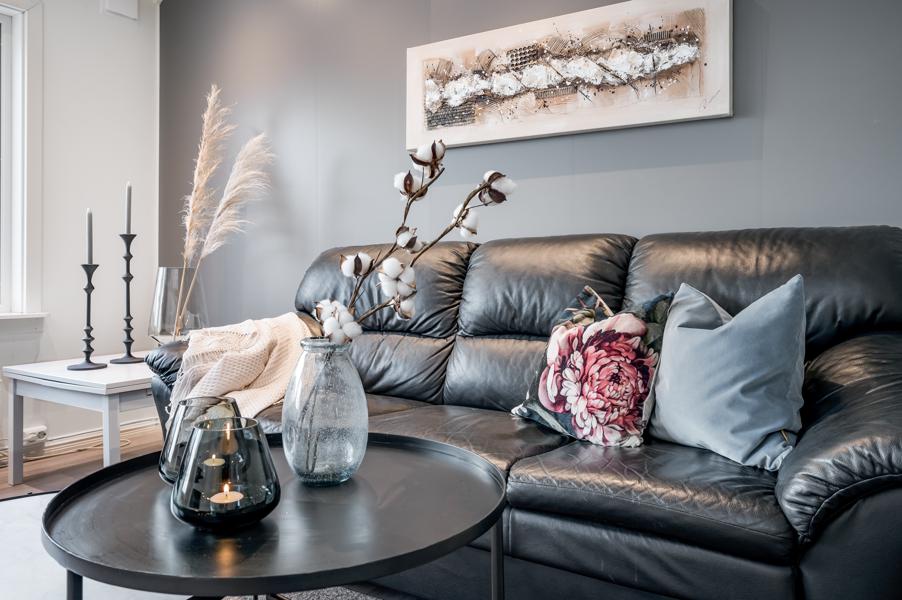 Basement living room