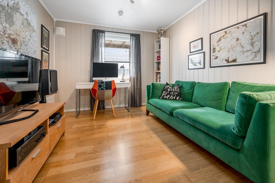 Basement living room