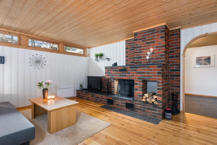 Basement living room