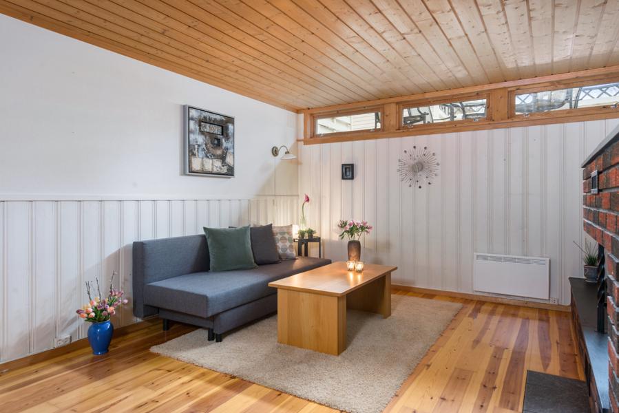 Basement living room