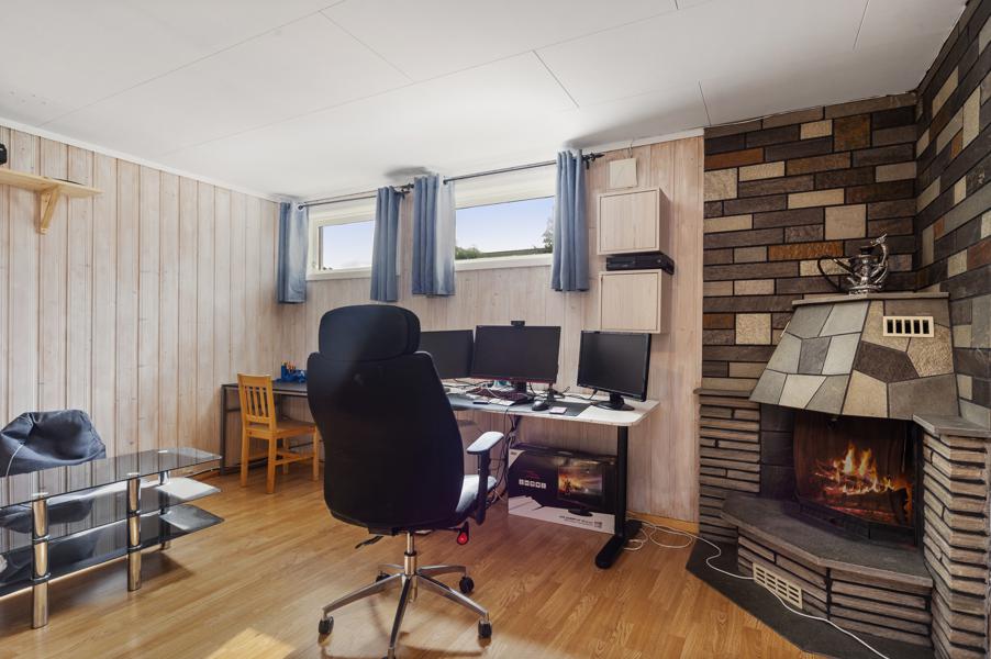 Basement living room