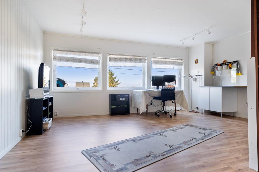 Basement living room