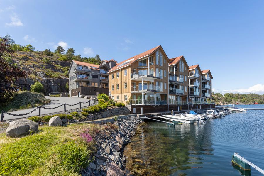 Velkommen til Hasseldalen 11