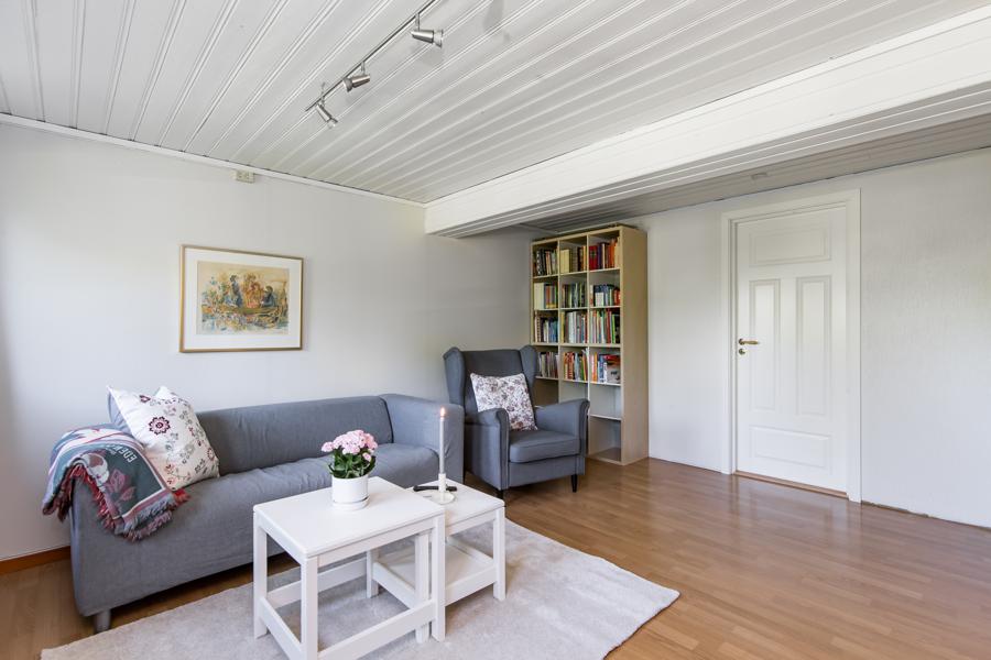 Basement living room